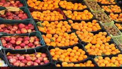 میوه تنظیم بازاری شب عید در ۳۵ نقطه آذربایجان غربی توزیع می‌شود