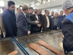 استاندار آذربایجان‌غربی: دستگاه‌های اجرایی برای رفع موانع تولید هم افزایی کنند