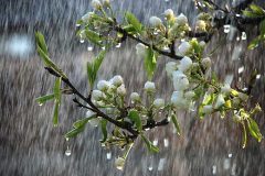 بارش برف و باران تا روز شنبه در آذربایجان غربی ادامه دارد