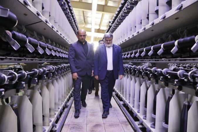 استاندار آذربایجان غربی از چند واحد تولیدی در سلماس بازدید کرد
