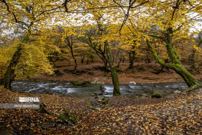 شدت سرمای پاییزی در آذربایجانغربی کمتر شد شدت سرمای پاییزی در آذربایجانغربی کمتر شد