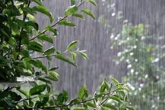 بارندگی‌ها مرکز و شمال آذربایجان‌غربی را فرا می‌گیرد