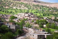 فرماندار سلماس: دهیاران نقش کلیدی در توسعه روستاها دارند