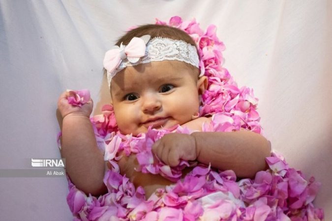 ثبت روزانه ۱۱۵ مورد تولد در آذربایجان‌غربی/ ۶۳ درصد در شهر متولد شده‌اند