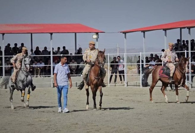 اسب‌های اصیل ایرانی در سلماس به نمایش گذاشته شد
