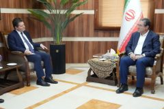 تاکید استاندار آذربایجان‌غربی بر عزم جدی برای همکاری اقتصادی با ترکیه