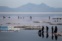 دولت در احیای دریاچه ارومیه رویکرد علمی دارد/ دریاچه نباید دستاویز تسویه حساب سیاسی باشد