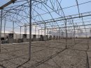 فرماندار سلماس: از سرمایه‌گذاری بخش خصوصی در کشت گلخانه‌ای حمایت می‌کنیم