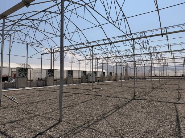 فرماندار سلماس: از سرمایه‌گذاری بخش خصوصی در کشت گلخانه‌ای حمایت می‌کنیم