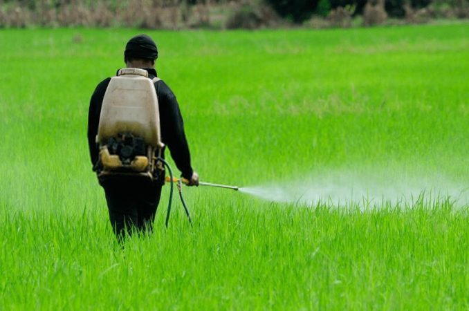 آغاز پایش واحدهای عرضه آفتکُشهای کشاورزی در آذربایجانغربی آغاز پایش واحدهای عرضه آفتکُشهای کشاورزی در آذربایجانغربی