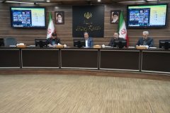استفاده از ظرفیت بخش خصوصی در واردات کالا های اساسی ضروری است